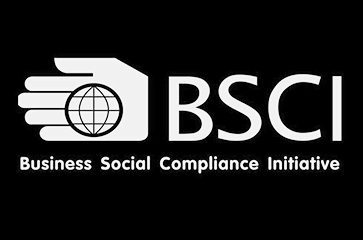 BSCI inspection factory passed